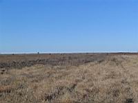 IMG_8868.JPG