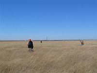IMG_8870.JPG