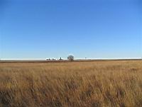 IMG_8851.JPG