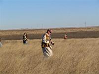 IMG_8861.JPG