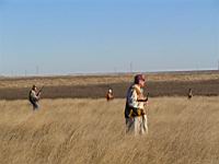 IMG_8862.JPG