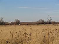 IMG_8888.JPG