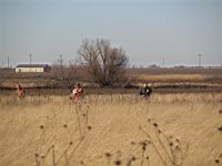 IMG_8889.JPG
