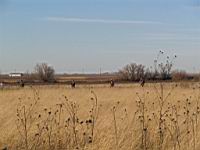 IMG_8890.JPG