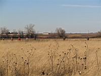 IMG_8891.JPG