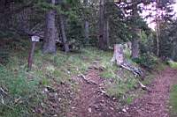 DCP_0791.JPG