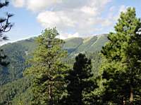 DSC03939.JPG