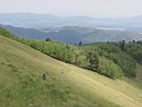 DSC03946.JPG
