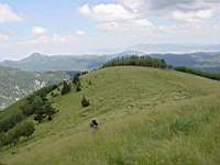 DSC03949.JPG
