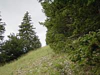 DSC03950.JPG
