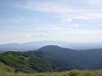 DSC03964.JPG