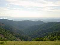 DSC03966.JPG