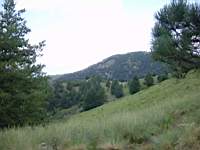 DSC03967.JPG