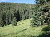 DSC03978.JPG