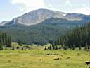 IMG_0019.JPG